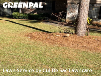 Yard Mowing nearby Ellenwood, GA, 