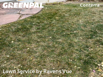 Yard Mowing nearby Loveland, CO, 