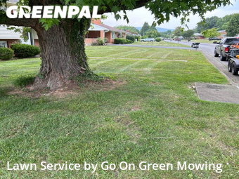 Grass Cut nearby Hollins, VA, 