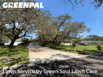 Lawn Care nearby Temple Terrace, FL, 