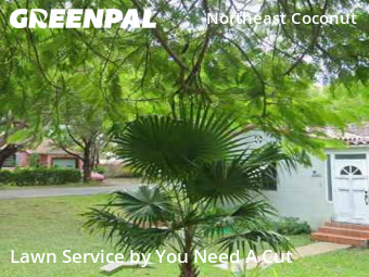 Lawn Cutting nearby Miami, FL, 