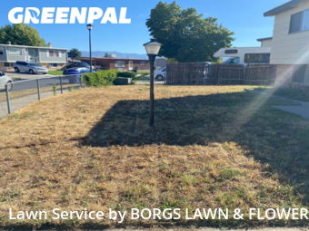 Lawn Mow nearby Salt Lake City, UT, 