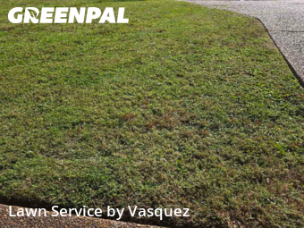 Lawn Mowing Service nearby Hendersonville, TN, 