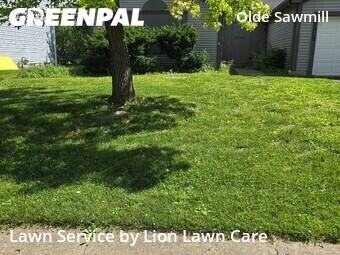 Grass Cut nearby Dublin, OH, 