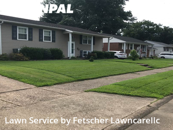 Grass Cutting nearby Evansville, IN, 