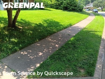 Yard Cutting nearby Fairfax, VA, 