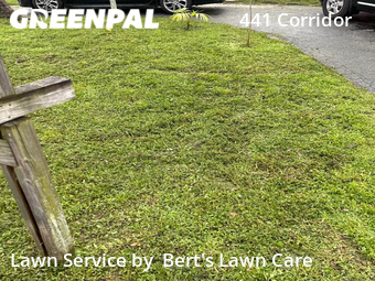 Grass Cutting nearby Hollywood, FL, 