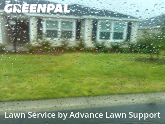 Lawn Mowing nearby The Villages, FL, 