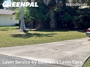 Grass Cutting nearby Palm Coast, FL, 