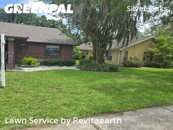 Grass Cut nearby Zephyrhills, FL, 
