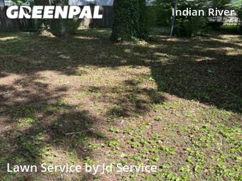 Grass Cut nearby Chesapeake, VA, 