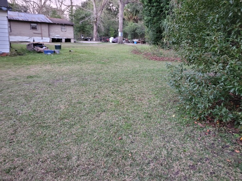 Elevated Investments Lawn Care Services in Valdosta, GA