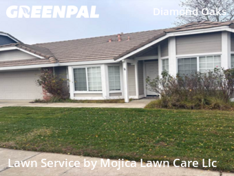 Work completed by grass-care-professionals-in-Roseville-CA