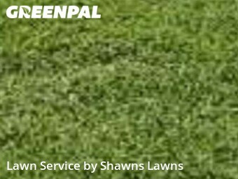 Grass Cut nearby Mesquite, TX, 