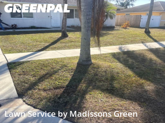 Lawn mowed in Royal Palm Beach, 33411