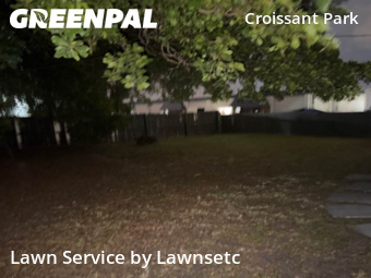Grass Cutin Fort Lauderdale,33315,Lawn Service by Lawnsetc, work completed in Nov , 2025