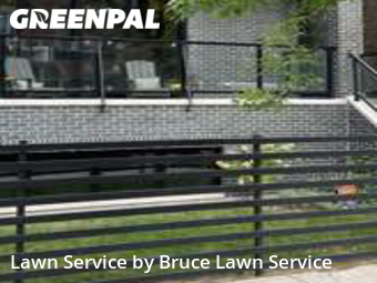 Lawn Cutting nearby Chicago, IL, 