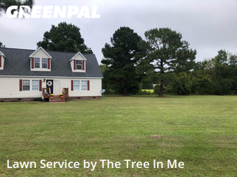 Yard Cutting nearby Maysville, NC, 