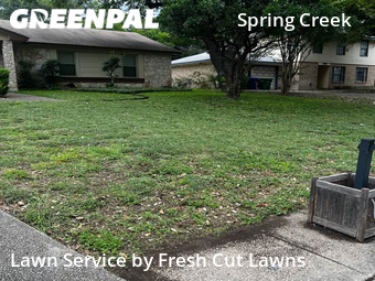 Grass Cutting nearby San Antonio, TX, 