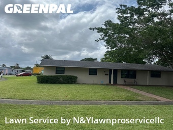 Grass Cut nearby West Palm Beach, FL, 