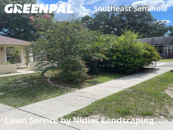 Grass Cut nearby Tampa, FL, 