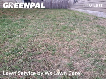 Lawn Cut nearby Converse, TX, 