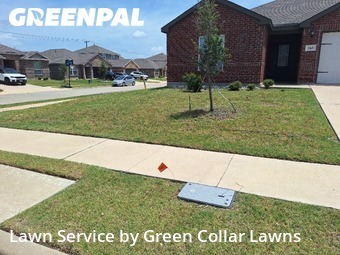 Yard Mowing nearby Venus, TX, 