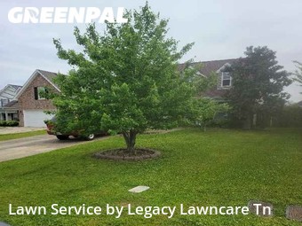 Lawn Mow nearby Murfreesboro, TN, 