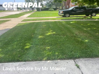 Lawn Service nearby Eastpointe, MI, 
