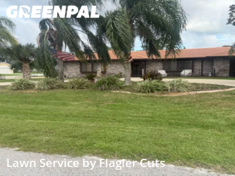 Grass Cut nearby Palm Coast, FL, 