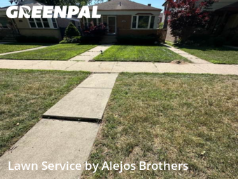 Grass Cuttingin Evanston,60202,Lawn Mow by Alejos Brothers, work completed in Nov , 2025