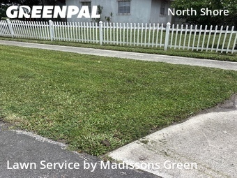 Affordable Landscaping In West Palm Beach,33407,Landscaping by Madissons Green, work completed in Jul , 2026