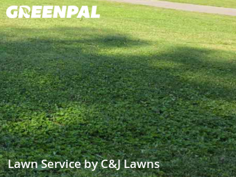 Yard Mowing nearby La Vergne, TN, 