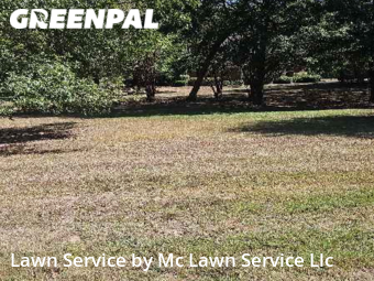 Grass Cutting nearby Madison, MS, 