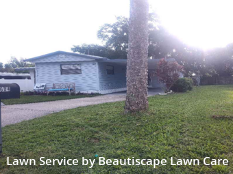 Grass Cut nearby Leesburg, FL, 