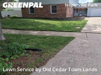 Grass Cut nearby Naperville, IL, 