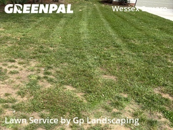 Landscaping Renovation In Charlotte,28226,Landscaping Cleanup by Gp Landscaping, work completed in Jun , 2026