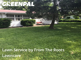 Grass Cut nearby Oakbrook Terrace, IL, 