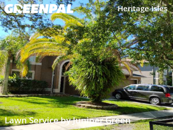 Grass Cut nearby Tampa, FL, 