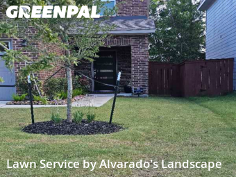 Grass Cutin Porter,77365,Yard Cutting by Alvarado's Landscape, work completed in Nov , 2025