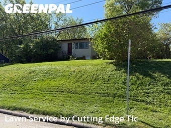 Lawn Mow nearby Kirkwood, MO, 