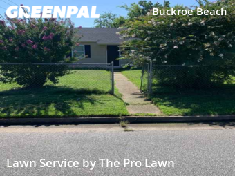 Grass Cut nearby Hampton, VA, 