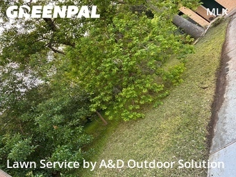 Lawn mowed in Austin, 78723