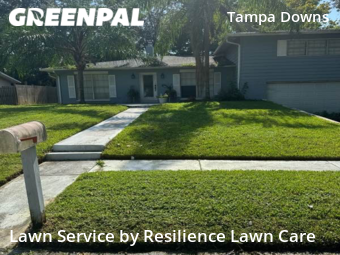 Lawn Cutting nearby Wesley Chapel, FL, 