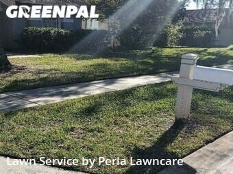 Lawn Cut nearby Zephyrhills, FL, 