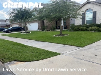 Yard Cutting nearby Katy, TX, 