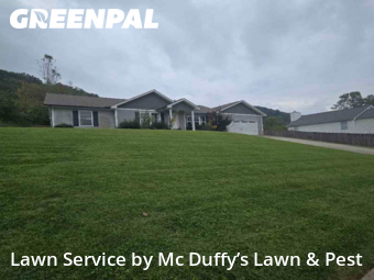 Grass Cut nearby Knoxville, TN, 