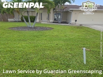 Lawn Mow nearby Cape Coral, FL, 