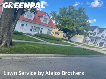 Yard Cuttingin Elmhurst,60126,Grass Cut by Alejos Brothers, work completed in Nov , 2025