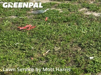 Lawn Service nearby Boca Raton, FL, 